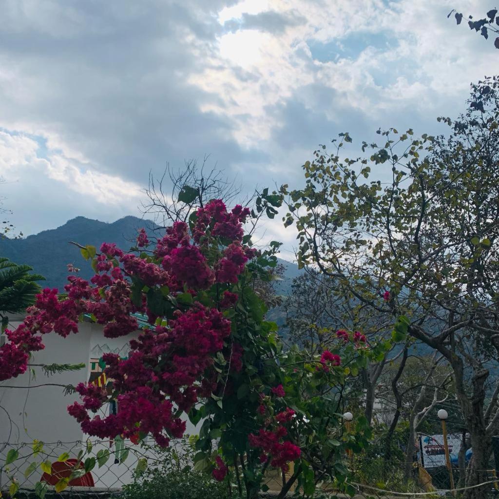 The Roxxy Royal Resort Rishīkesh Esterno foto